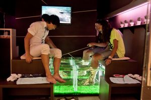Fishmassage для двоих Подарки подруге на 14 февраля